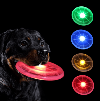 Frisbee Lumineux pour Chien – Jouez sans limites, même la nuit - PoilDeBonheur